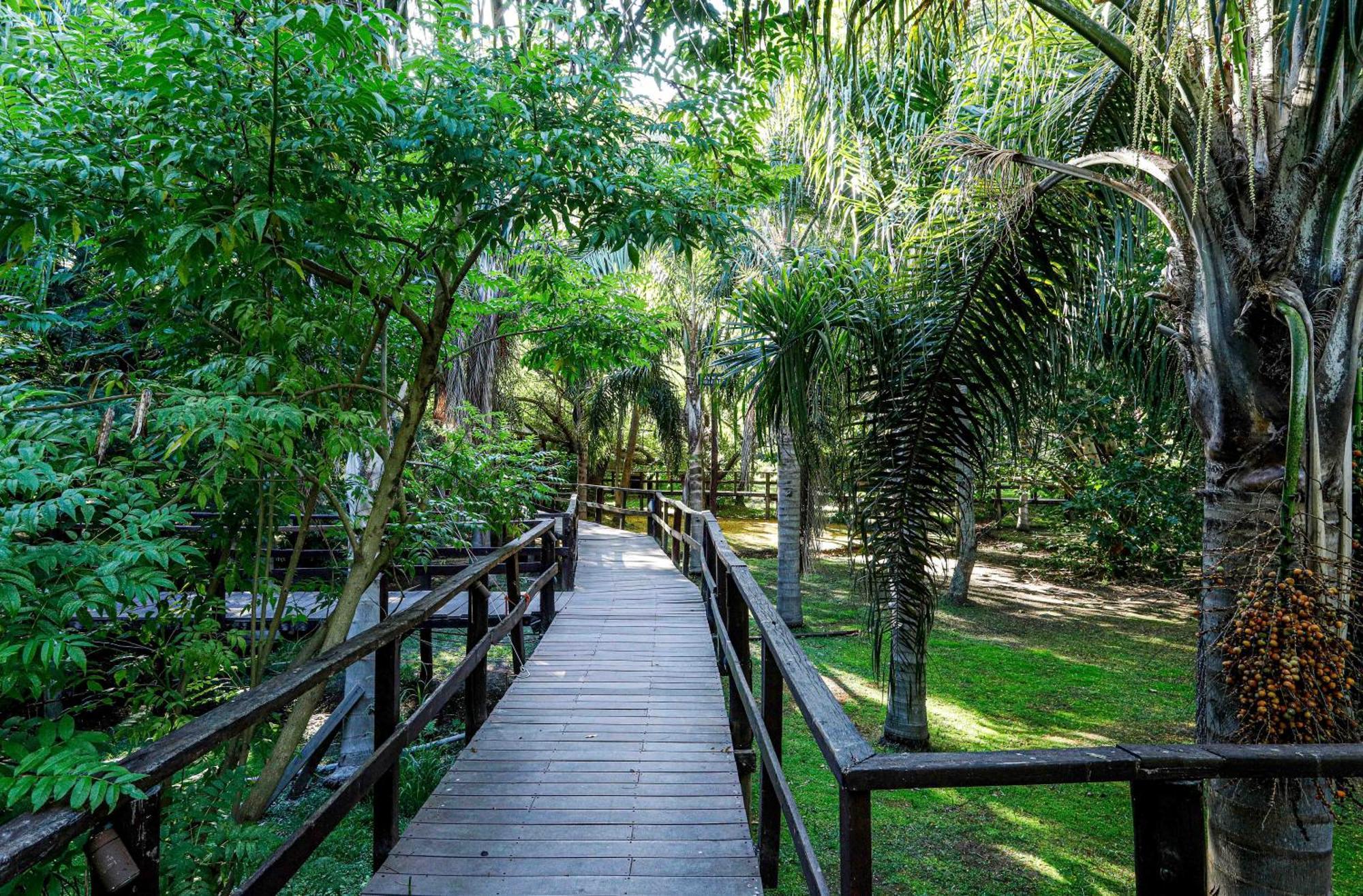 Delta Eco Resort & Spa 蒂格雷 外观 照片