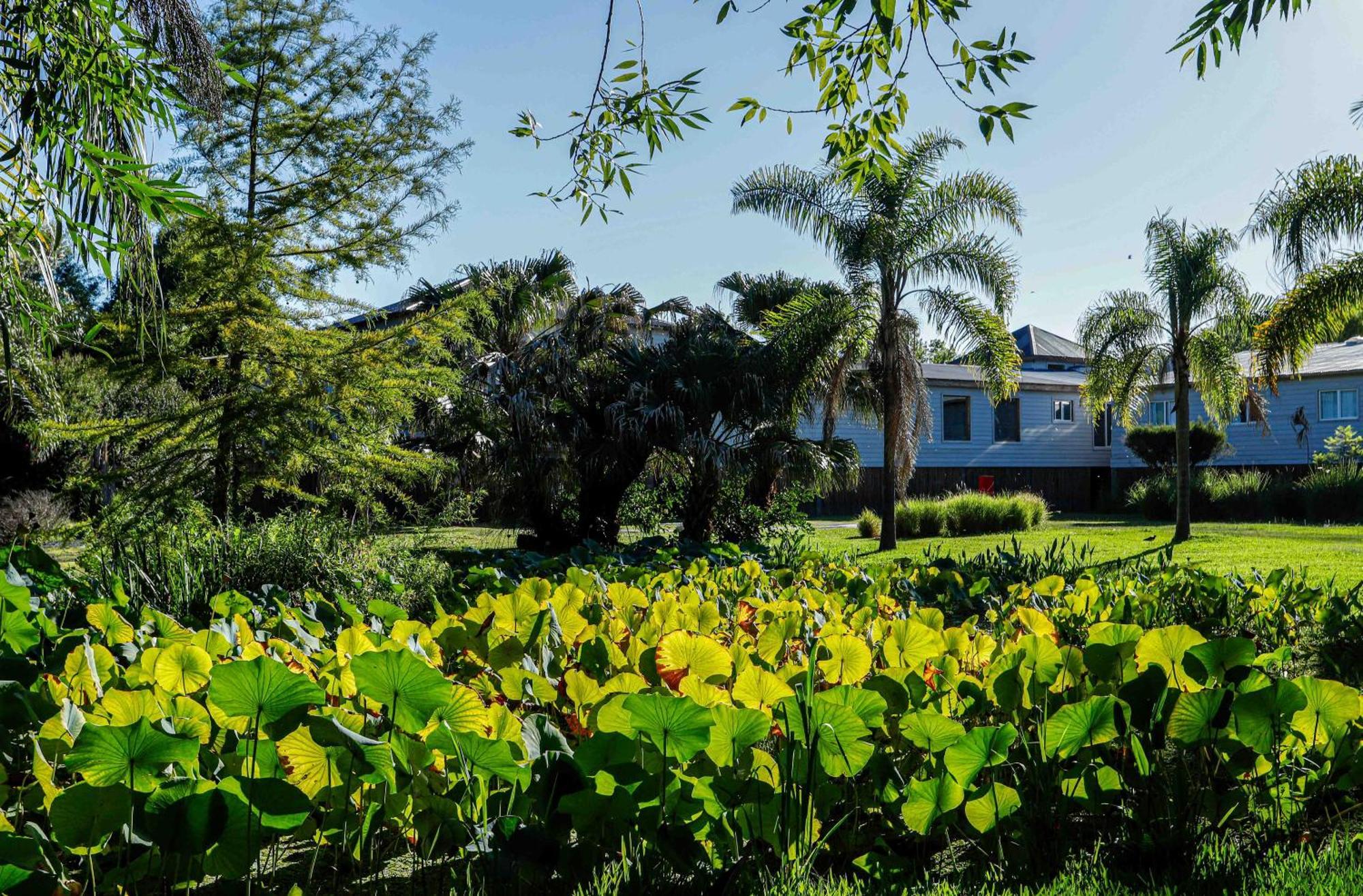 Delta Eco Resort & Spa 蒂格雷 外观 照片