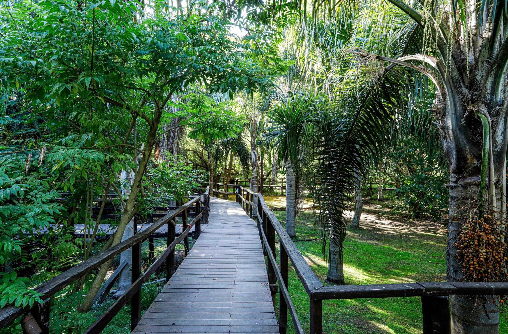 Delta Eco Resort & Spa 蒂格雷 外观 照片