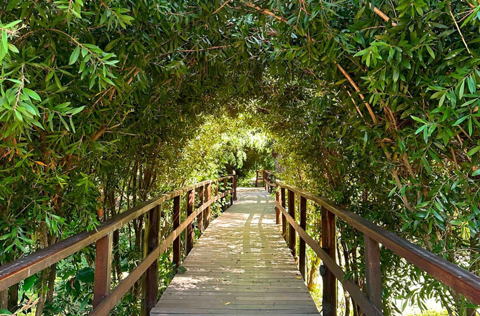 Delta Eco Resort & Spa 蒂格雷 外观 照片